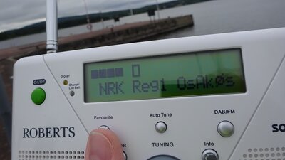 Reg1.jpg