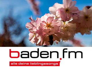 93.JPG