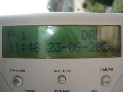 P1.jpg