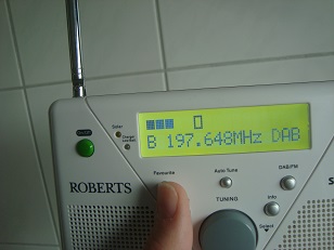 Flensb5.jpg